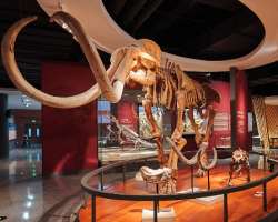 The museum is one of the largest art museums in China.
